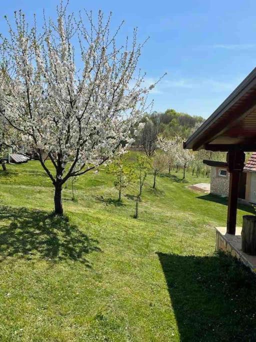 Villa Doma Samobor Zewnętrze zdjęcie
