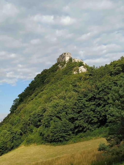 Villa Doma Samobor Zewnętrze zdjęcie